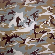 Andy Warhol, Camouflage, 1986